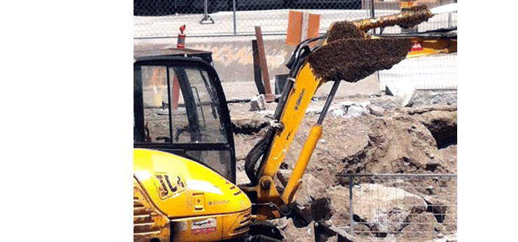 bee removal in difficult to reach places